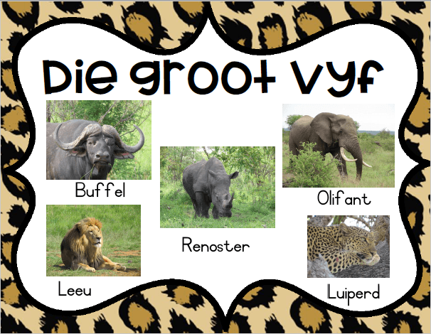 Die Groot Vyf