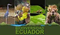 biodiversidade e conservação - Série 5 - Questionário