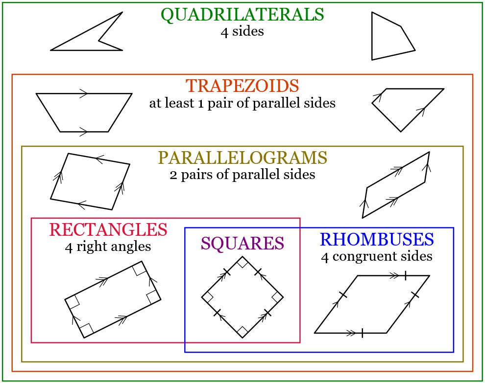 Quadrilateral Review 