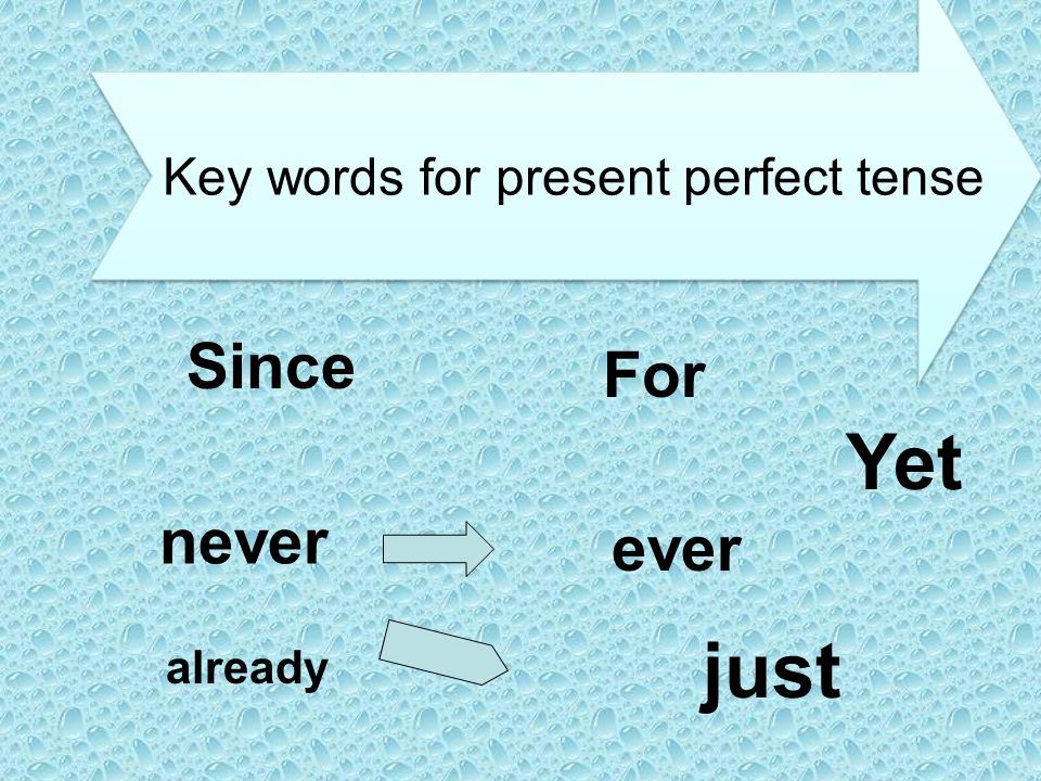 Key words Present Perfect | English - Quizizz