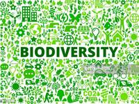 biodiversity and conservation - Class 11 - Quizizz