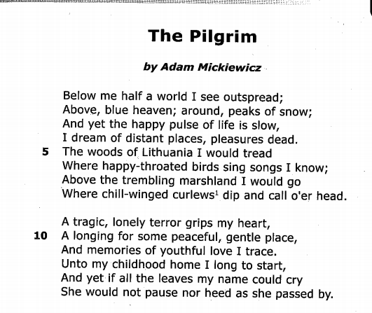 The Pilgrim Poem Other Quiz Quizizz