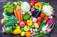 diagrama de células vegetales - Grado 6 - Quizizz