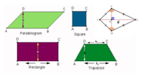 Area of Quadrilaterals - Year 10 - Quizizz