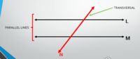 transversal of parallel lines - Year 7 - Quizizz