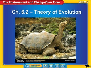 Ch 6, Lesson 2: Theory Of Evolution By Natural Selection Quiz Questions ...