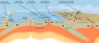 pergerakan air laut - Kelas 10 - Kuis