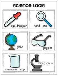 Measurement Tools and Strategies - Year 2 - Quizizz