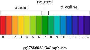 pH Scale Brainpop Quiz | 95 plays | Quizizz