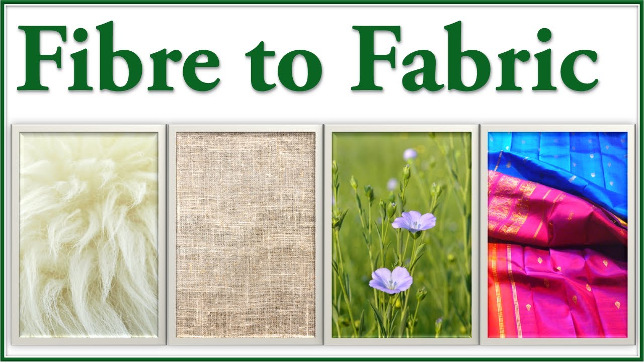 fibre-to-fabric-science-quizizz