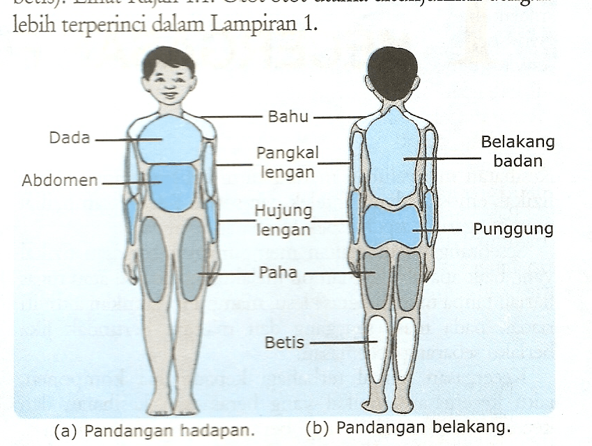 Pjpk T1 Kuiz 4 Physical Ed Quiz Quizizz