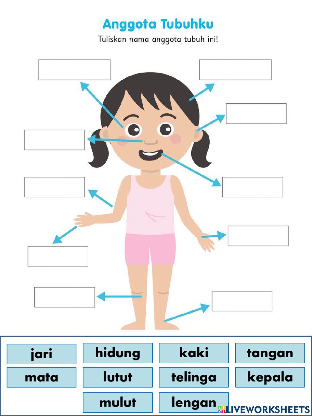 Mandarynka - Klasa 12 - Quiz