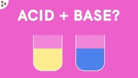 acid base reactions - Year 7 - Quizizz