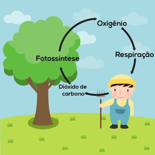 Ciência da vida - Série 2 - Questionário