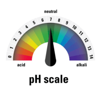 Scaled Pictographs - Year 10 - Quizizz