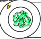 cell division - Grade 6 - Quizizz