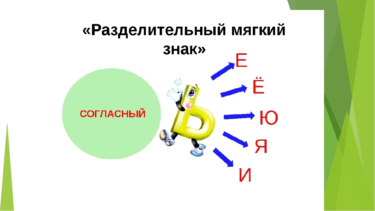 Разделительный мягкий знак | 65 plays | Quizizz