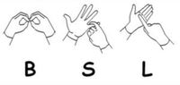 BSL (brytyjski język migowy) - Klasa 5 - Quiz