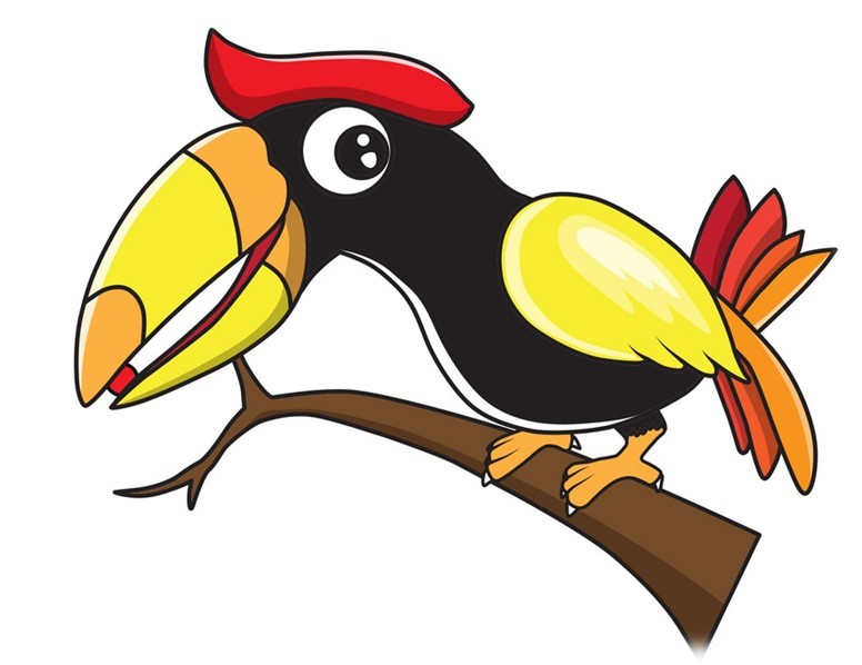 Harold :  Our Hornbill