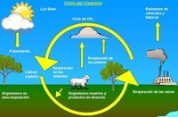 propiedades del carbono - Grado 1 - Quizizz