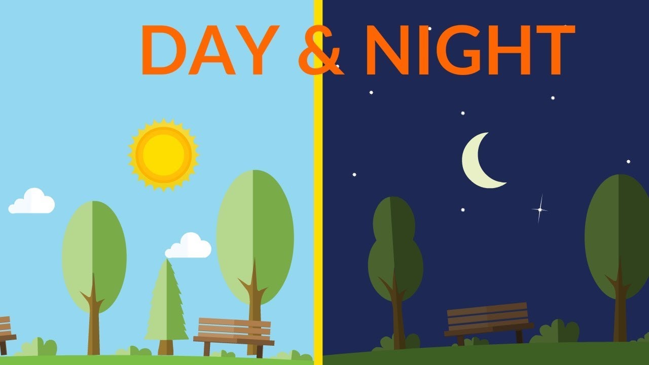 Day and Night | Science Quiz - Quizizz