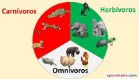 Circulación atmosférica y sistemas meteorológicos. - Grado 5 - Quizizz