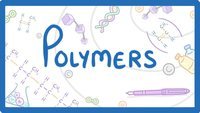 Polymers