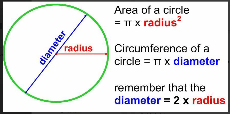 CBSE Mathematics Grade 10 Areas Related To Circles | Circumference And ...