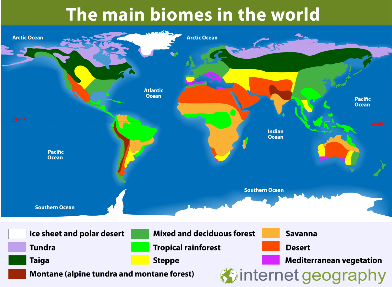 terrestrial biomes