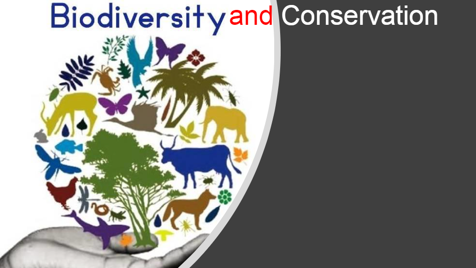 Biodiversity And Conservation | Science - Quizizz