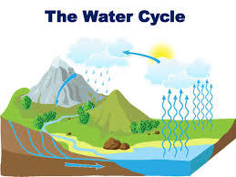 Water Cycle | 847 plays | Quizizz