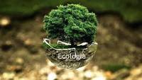 ecologia - Série 12 - Questionário