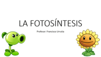 fotosíntesis - Grado 6 - Quizizz