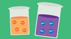 Acids and Bases