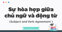 sự phù hợp Flashcards - Quizizz