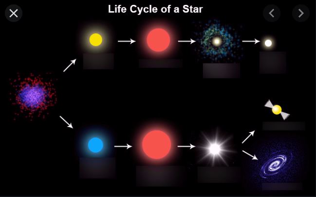 sun-and-stars-unit-test-review-science-quizizz