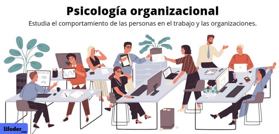 Psicología Tarjetas didácticas - Quizizz