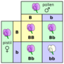 Heredity and Genetics