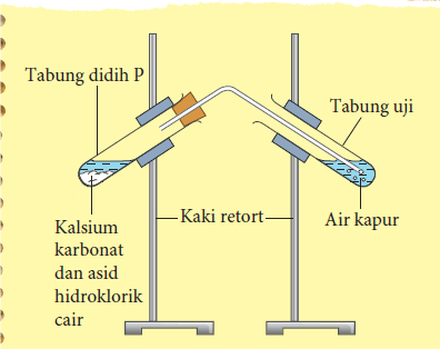 Tindak Balas Kalsium Karbonat Dan Asid Quiz Quizizz