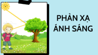 Viết phản ánh - Lớp 5 - Quizizz