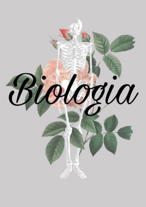 I. Nociones de Biología | Biology - Quizizz