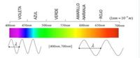 Ciencia medioambiental - Grado 8 - Quizizz