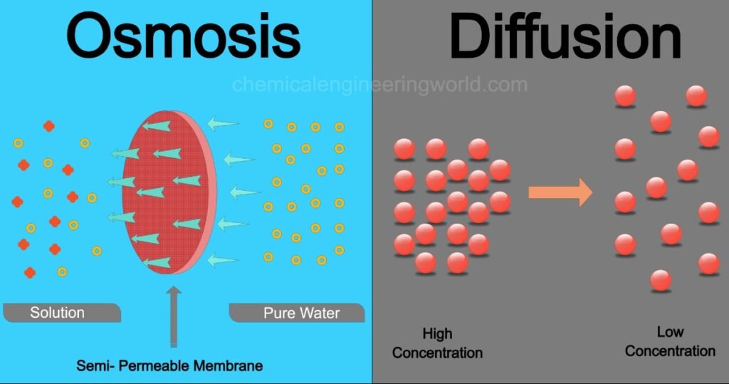 osmosis dan tonisitas Kartu Flash - Quizizz