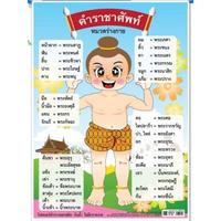 คำ Flashcards - แบบทดสอบ