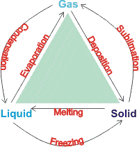 Scaled Pictographs - Grade 10 - Quizizz