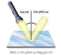 tổng hợp rna và protein - Lớp 7 - Quizizz