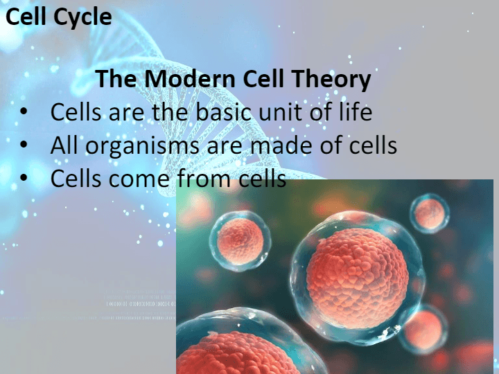 Cell Cycle Biology Quizizz