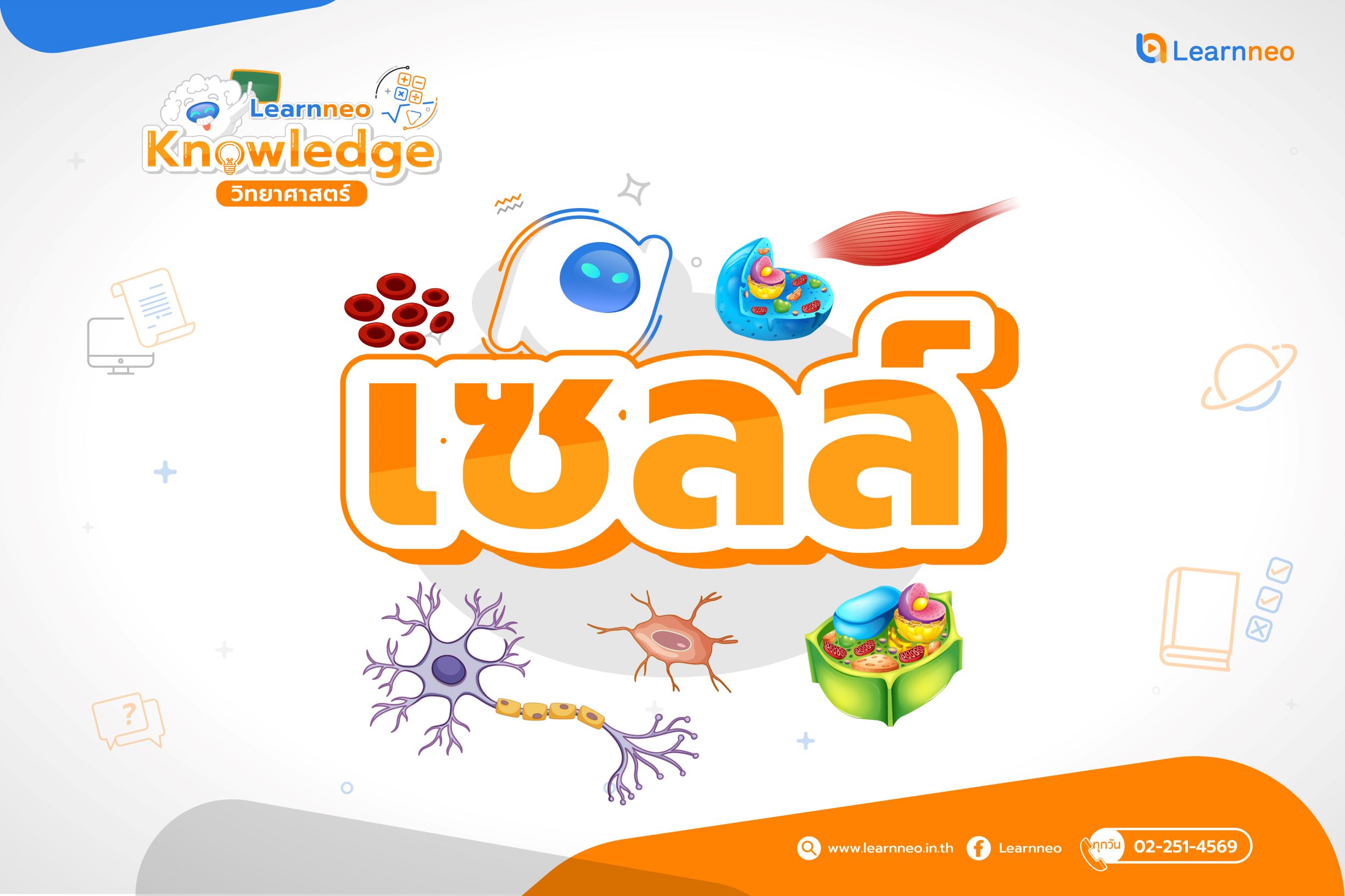 พืช สัตว์ และโลก - ระดับชั้น 3 - Quizizz