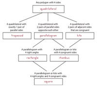 Quadrilaterals - Class 5 - Quizizz