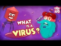 virus - Grado 9 - Quizizz